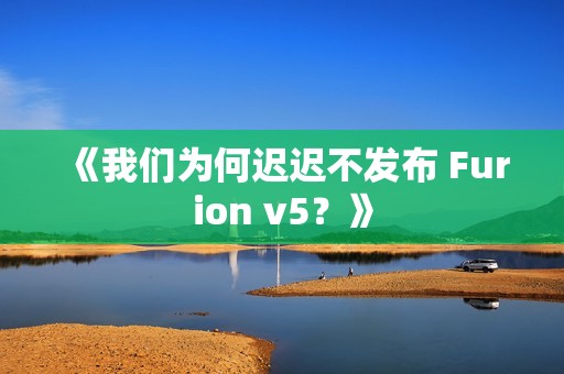 《我们为何迟迟不发布 Furion v5？》