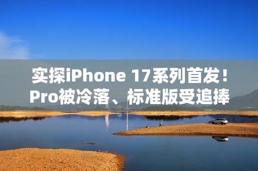 实探iPhone 17系列首发！Pro被冷落、标准版受追捧 店员直呼“有点忙不过来了”