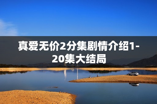 真爱无价2分集剧情介绍1-20集大结局