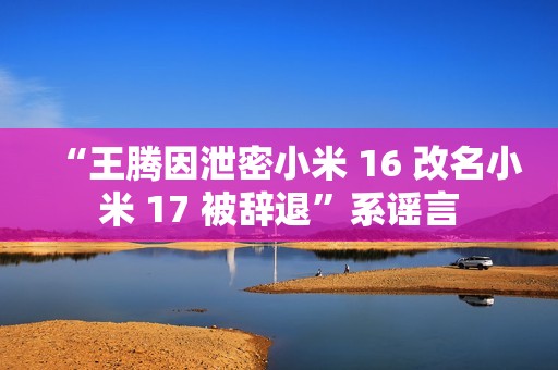 “王腾因泄密小米 16 改名小米 17 被辞退”系谣言