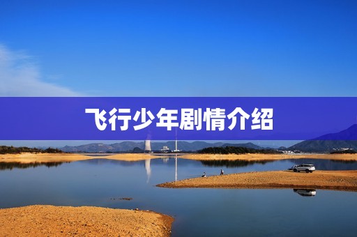 飞行少年剧情介绍