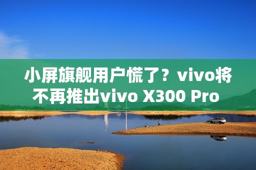 小屏旗舰用户慌了？vivo将不再推出vivo X300 Pro mini