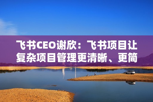 飞书CEO谢欣：飞书项目让复杂项目管理更清晰、更简单