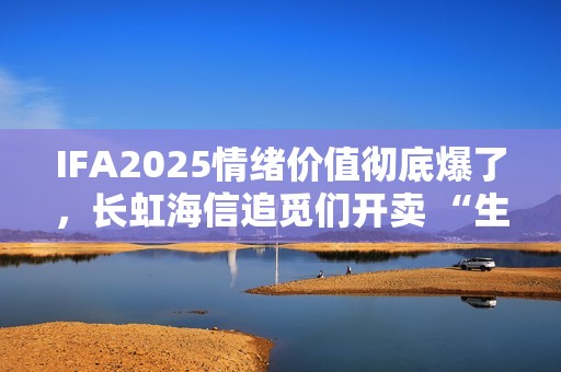 IFA2025情绪价值彻底爆了，长虹海信追觅们开卖 “生活方式”