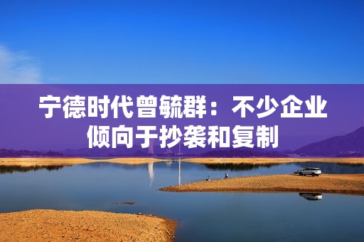 宁德时代曾毓群：不少企业倾向于抄袭和复制