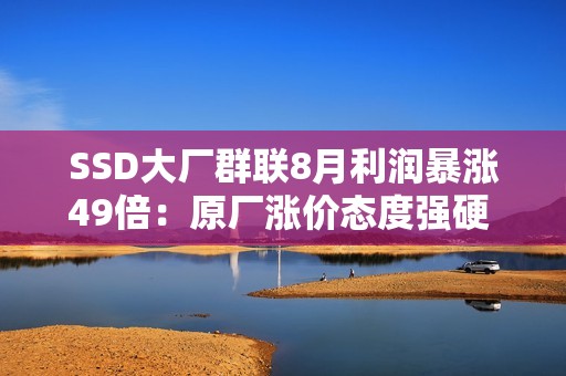 SSD大厂群联8月利润暴涨49倍：原厂涨价态度强硬 明年得缺货