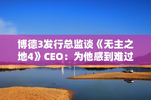 博德3发行总监谈《无主之地4》CEO：为他感到难过！