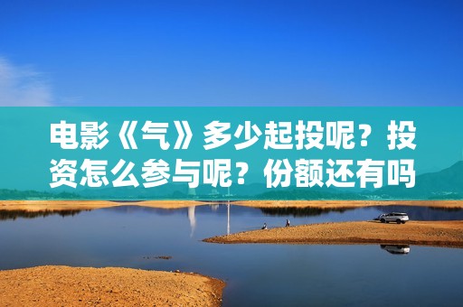 电影《气》多少起投呢？投资怎么参与呢？份额还有吗？