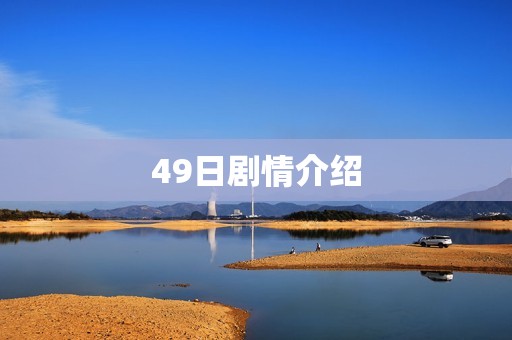 49日剧情介绍