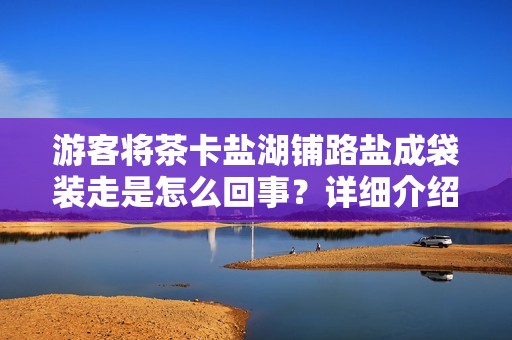 游客将茶卡盐湖铺路盐成袋装走是怎么回事？详细介绍