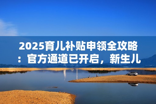 2025育儿补贴申领全攻略：官方通道已开启，新生儿家庭速览
