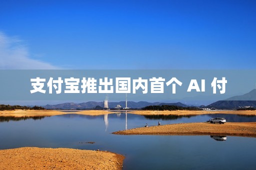 支付宝推出国内首个 AI 付