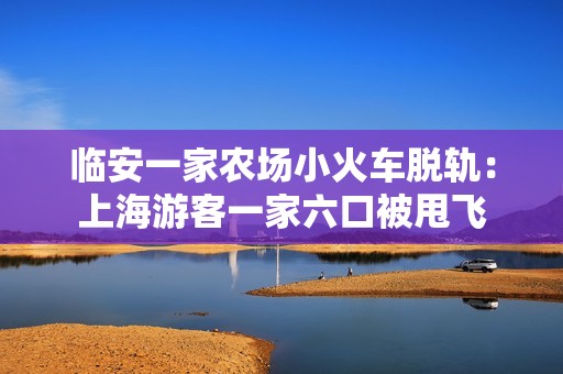 临安一家农场小火车脱轨：上海游客一家六口被甩飞