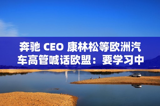 奔驰 CEO 康林松等欧洲汽车高管喊话欧盟：要学习中国经验