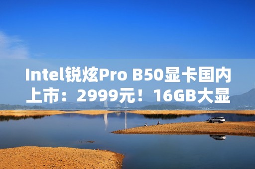 Intel锐炫Pro B50显卡国内上市：2999元！16GB大显存
