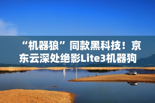 “机器狼”同款黑科技！京东云深处绝影Lite3机器狗现已上线