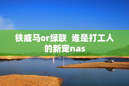 铁威马or绿联  谁是打工人的新宠nas