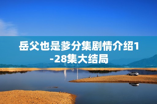 岳父也是爹分集剧情介绍1-28集大结局