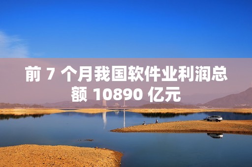 前 7 个月我国软件业利润总额 10890 亿元