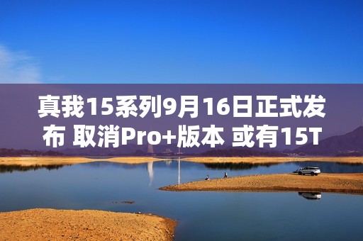 真我15系列9月16日正式发布 取消Pro+版本 或有15T
