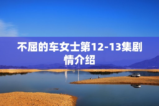 不屈的车女士第12-13集剧情介绍