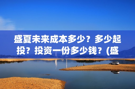 盛夏未来成本多少？多少起投？投资一份多少钱？(盛夏未来制作成本)