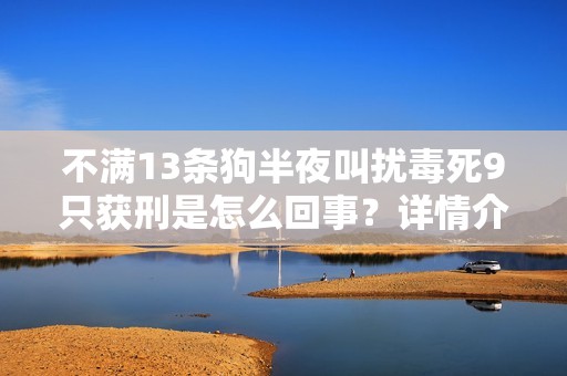 不满13条狗半夜叫扰毒死9只获刑是怎么回事？详情介绍