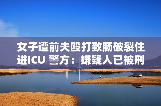 女子遭前夫殴打致肠破裂住进ICU 警方：嫌疑人已被刑拘