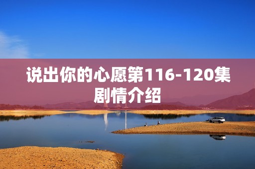 说出你的心愿第116-120集剧情介绍