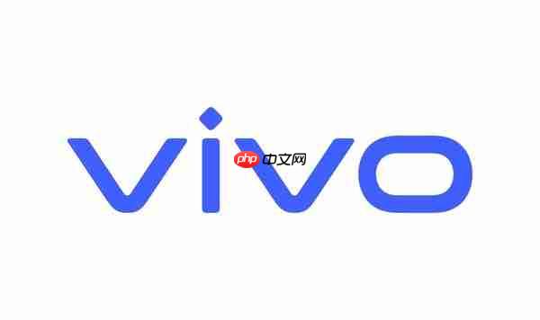 手机还是平板？vivo 13000mAh超大容量电池通过认证