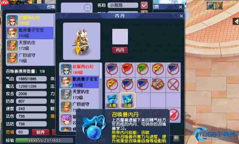 召唤兽内丹速冲五层攻略：高效领悟与资源规划指南