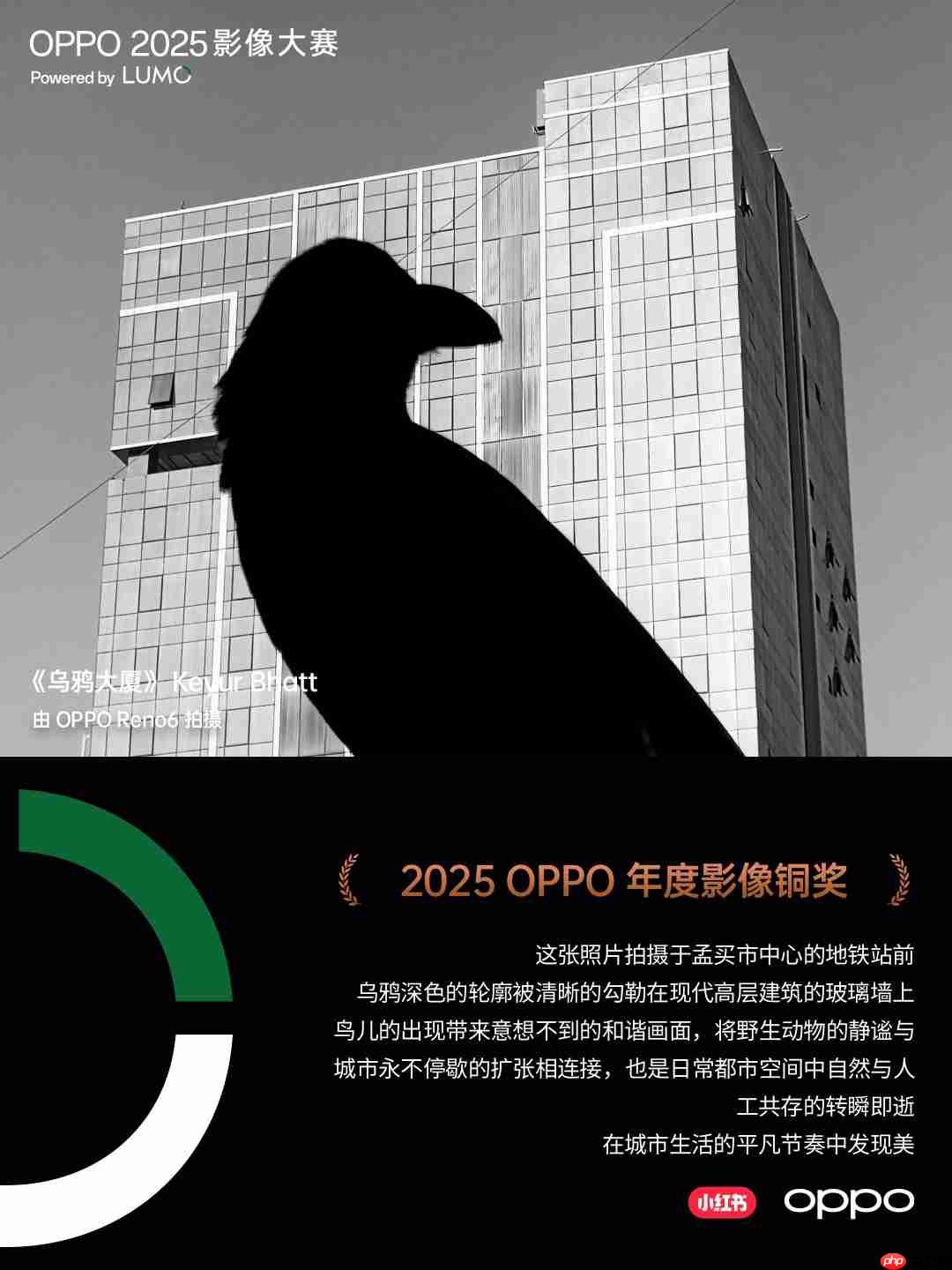 点亮感动时刻！OPPO 2025影像大赛获奖作品重磅揭晓