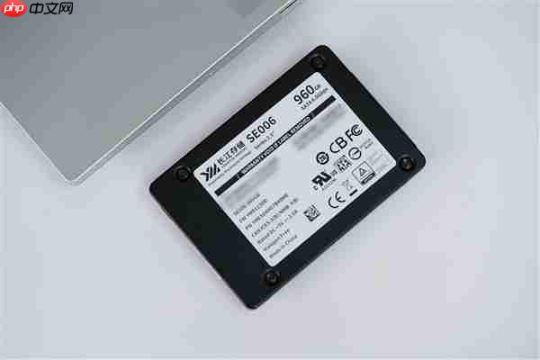 SATA SSD顶尖水平！长江存储SE006 960GB图赏