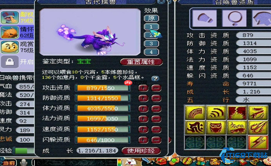 55级宝宝选择终极指南：性价比与实战并重的过渡期攻略