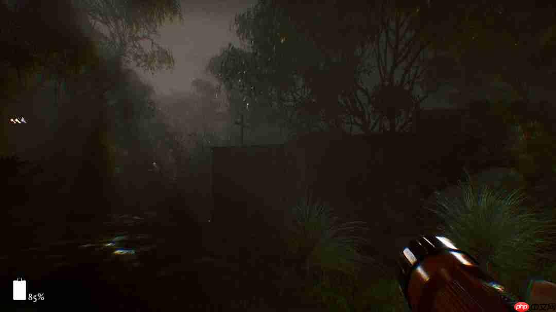 恐怖游戏《第九藏骸所》新预告 明年1月31日发售