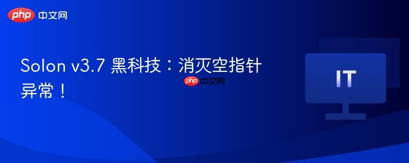 Solon v3.7 黑科技：消灭空指针异常！