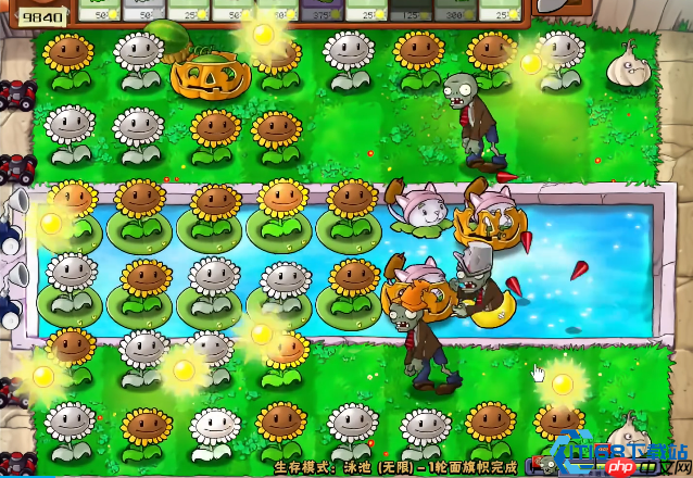 植物大战僵尸无尽模式进阶攻略 阳光管理与阵容搭配技巧