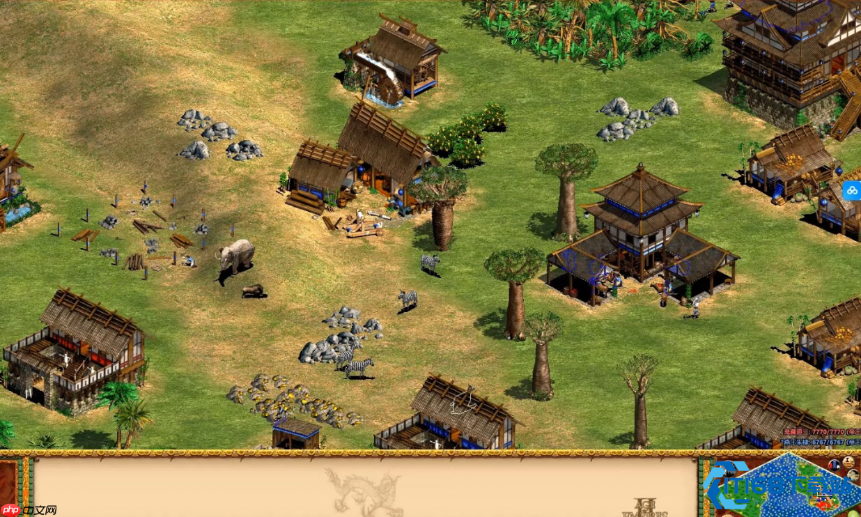 帝国时代2高效开局指南：从黑暗时代到城堡时代的完美节奏