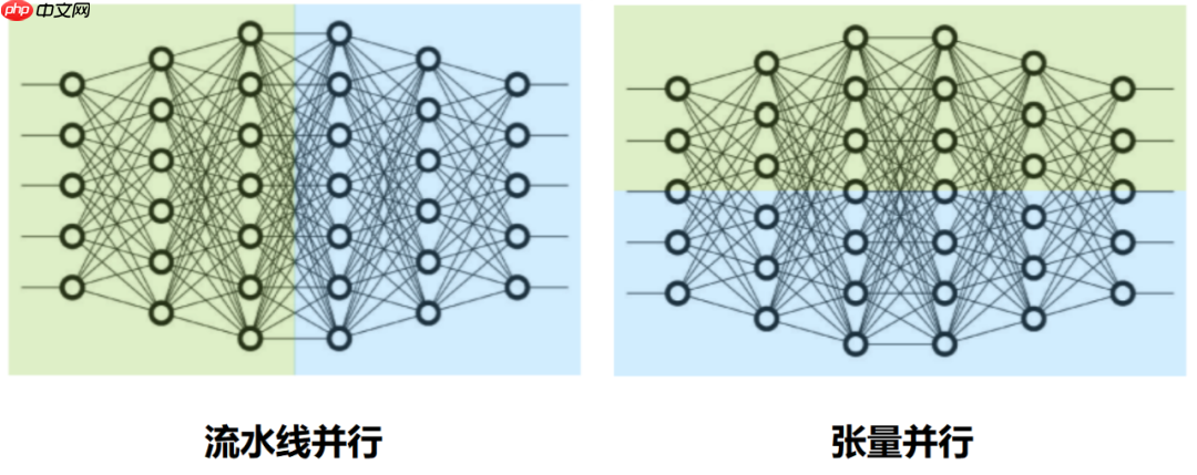 一文看懂 AI 大模型的并行训练方式（DP、PP、TP、EP）