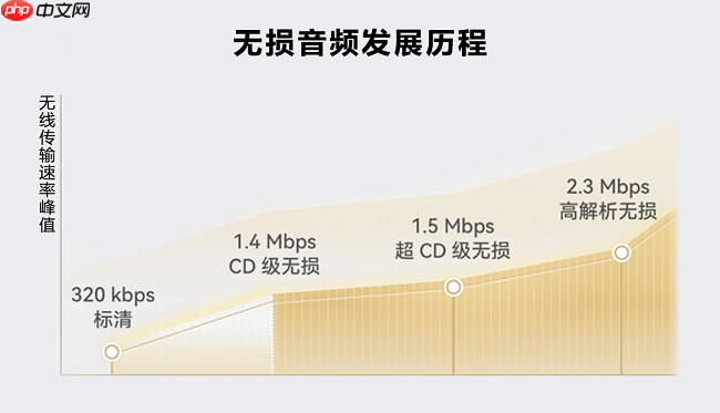 星闪音频，开启“真无损”非凡音质