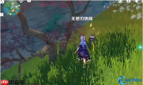 弩丘丘人宝箱解谜终极指南：元素视野与风之种技巧大揭秘