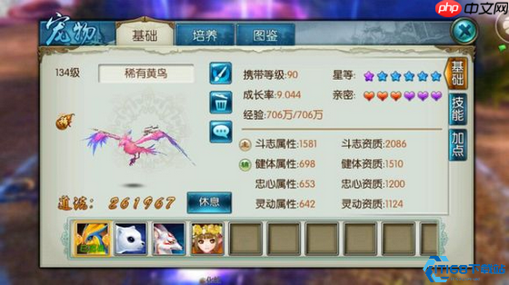 青云全方位养成指南：从宠物搭配到元婴培养的终极攻略