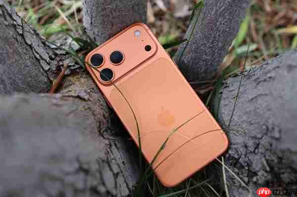 苹果“一块布”卖1299元：iPhone Pocket数量有限 售完为止