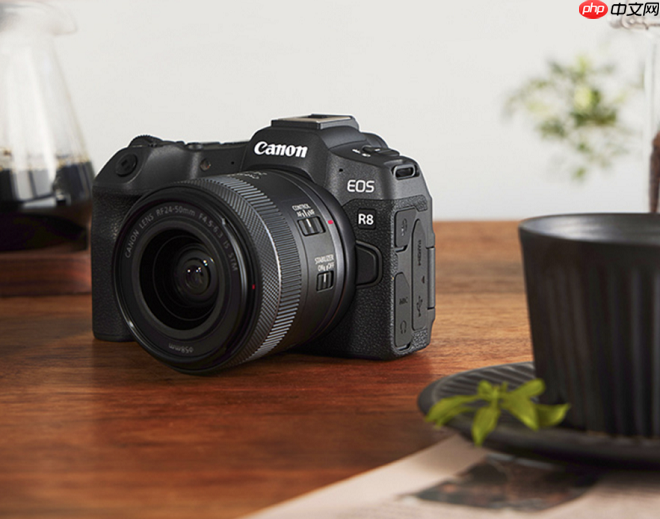 2025年全画幅微单推荐：佳能R8，你的万元以内全画幅创作伙伴