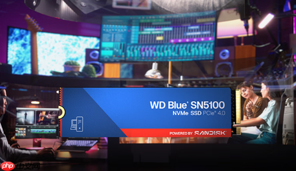 2199元 闪迪WD Blue SN5100 PCIe 4.0 SSD新增4TB版：原厂NAND