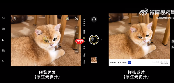 vivo产品经理详解X300原生光影：减少AI干预 还原真实
