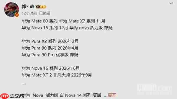 华为新机发布计划曝光：Pura 90系列或明年4月登场