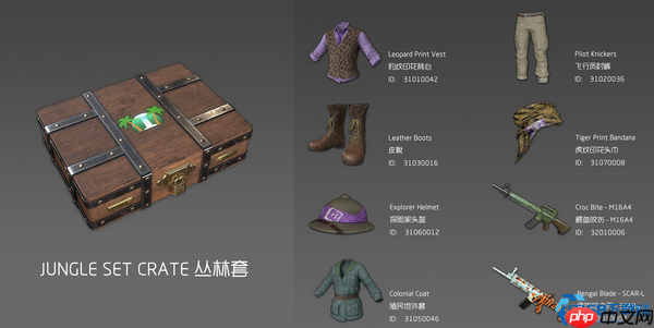 丛林宝藏猎人必备指南：解锁稀有皮肤与服饰的黄金法则