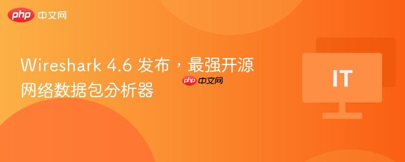 Wireshark 4.6 发布，最强开源网络数据包分析器