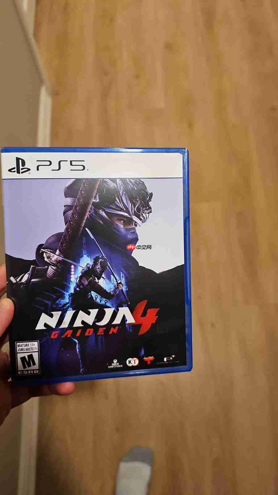 《忍者龙剑传4》现已偷跑 玩家称战斗系统非常惊艳！